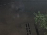 猫十七：世界上真的有龙？北京朝阳十里堡上空真龙事件（有视频，慎入！）