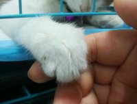 我想十七了❤️