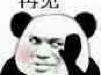 猫十七:神仙附身?