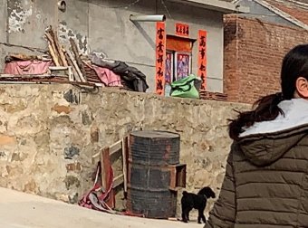 梦境因果,前世今生还是平行宇宙中另一个我的经历
