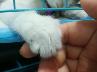 我想十七了❤️