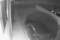 午夜街头出现神秘生物,走路姿势极其诡异!