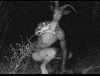 西方的神话中生物——山羊人的魔法能力从何而来？