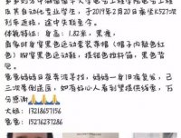 湖南大学生失联,2个月在墓地找到,神情呆滞、记忆缺失…