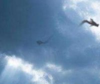 盘点中国十大真龙现身事件 科学家表示真龙或存在