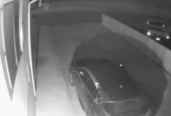 午夜街头出现神秘生物，走路姿势极其诡异！