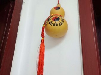 驱鬼招魂的新人求助