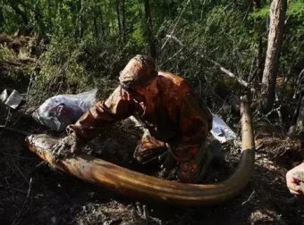 西伯利亚“挖尸人”,挖出来的95%都被销往中国!
