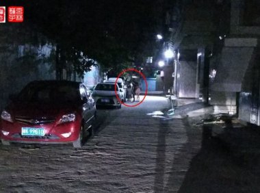 瞧这“一家子”