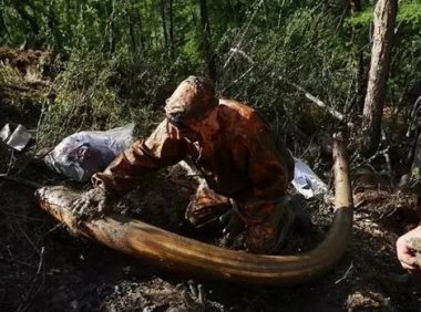 西伯利亚“挖尸人”,挖出来的95%都被销往中国!