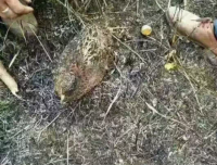 一些网友亲历的故事，看完不禁让人背脊发凉…