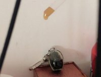 猫十七:视频里的可乐是古曼童在喝吗?