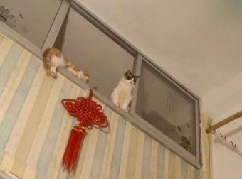 那栋很邪的房子……