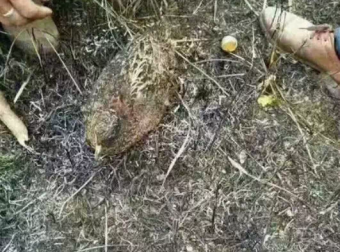 一些网友亲历的故事，看完不禁让人背脊发凉…