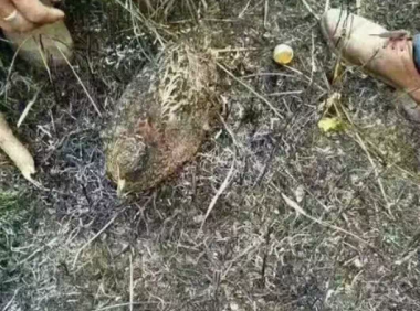 一些网友亲历的故事，看完不禁让人背脊发凉…