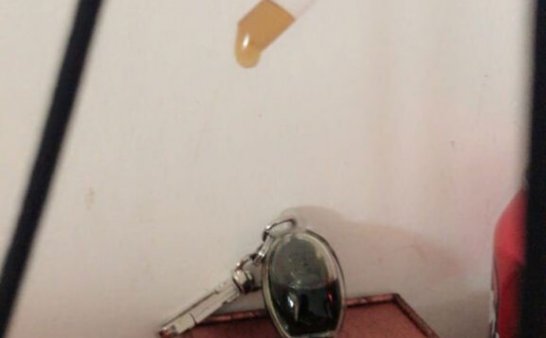 猫十七:视频里的可乐是古曼童在喝吗?