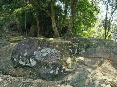 中了魔咒？600多年来未解