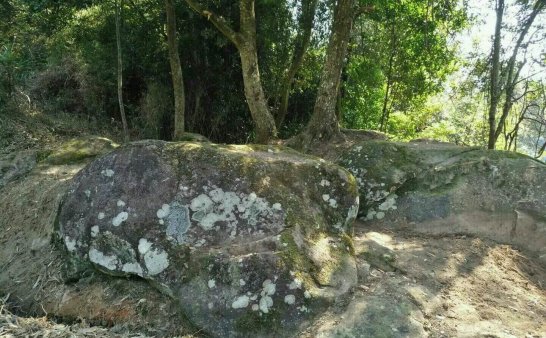 中了魔咒？600多年来未解