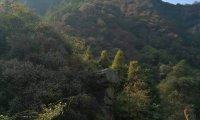 麻烦进来给点建议!