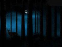 小时候的事记忆里很清晰却又觉得模糊