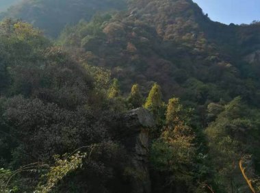 麻烦进来给点建议!