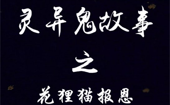 花狸猫报恩