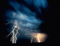 猫十七:梦里很悲伤的事