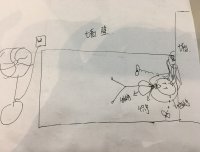 游走于现实和梦境的经历