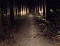 山村鬼话第二幕之迷途