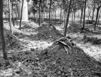 边缘职业——驱鬼人真实回忆录之乱葬岗