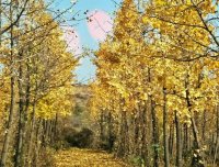 无意间拍到无法解释!