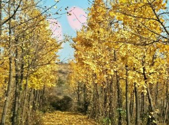 无意间拍到无法解释!