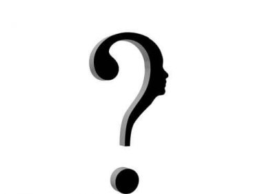 猫十七:十九个为什么?你知道为什么吗?