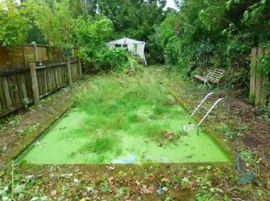 儿时的奇异经历