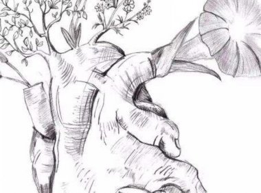 感谢你曾经照亮过我的世界