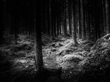 山村鬼话第一幕之午夜惊魂