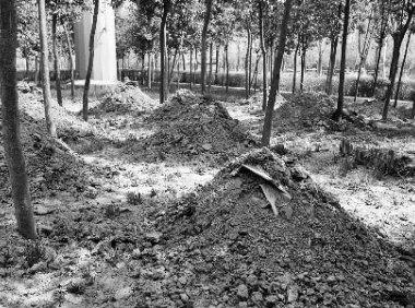 边缘职业——驱鬼人真实回忆录之乱葬岗