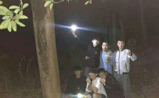 猫十七：背后那是啥？