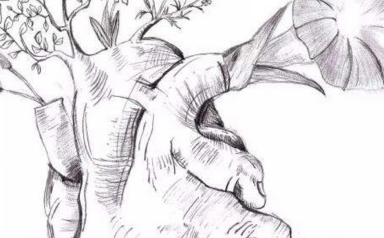 感谢你曾经照亮过我的世界