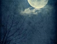 真实的灵异事件之第一个故事：买花的人