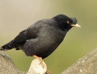 小时候遇到的一件怪事