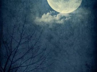 真实的灵异事件之第一个故事：买花的人