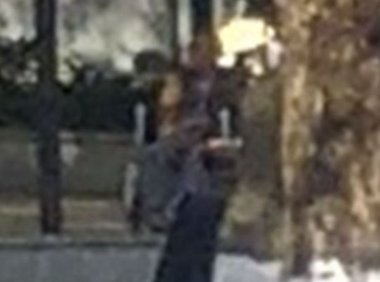 公园之灵乐陶陶