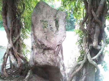 植物园灵异事件