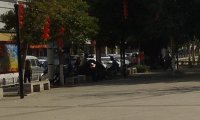 小公园灵物(一)