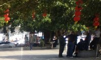 小公园灵物(三)