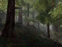 真实经历——一家三口死于非命凶手竟是一棵树?