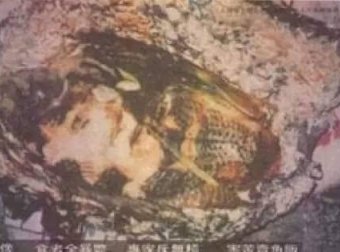 台灣怪談之魚肉好吃嗎?