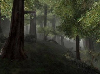 真实经历——一家三口死于非命凶手竟是一棵树?