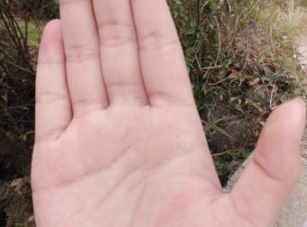 有人会看手像吗？